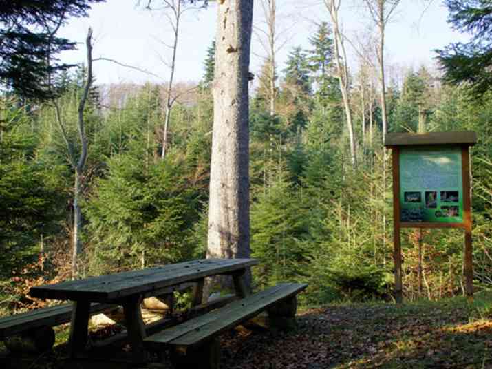 Szlaki Turystyczne Wczasy Bieszczady Noclegi Camping Domki I Pokoje